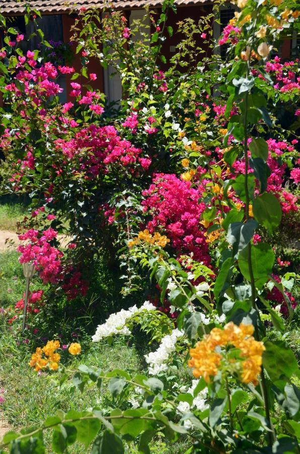 Arya Homestay Bougain Villa Gokarna  Eksteriør billede